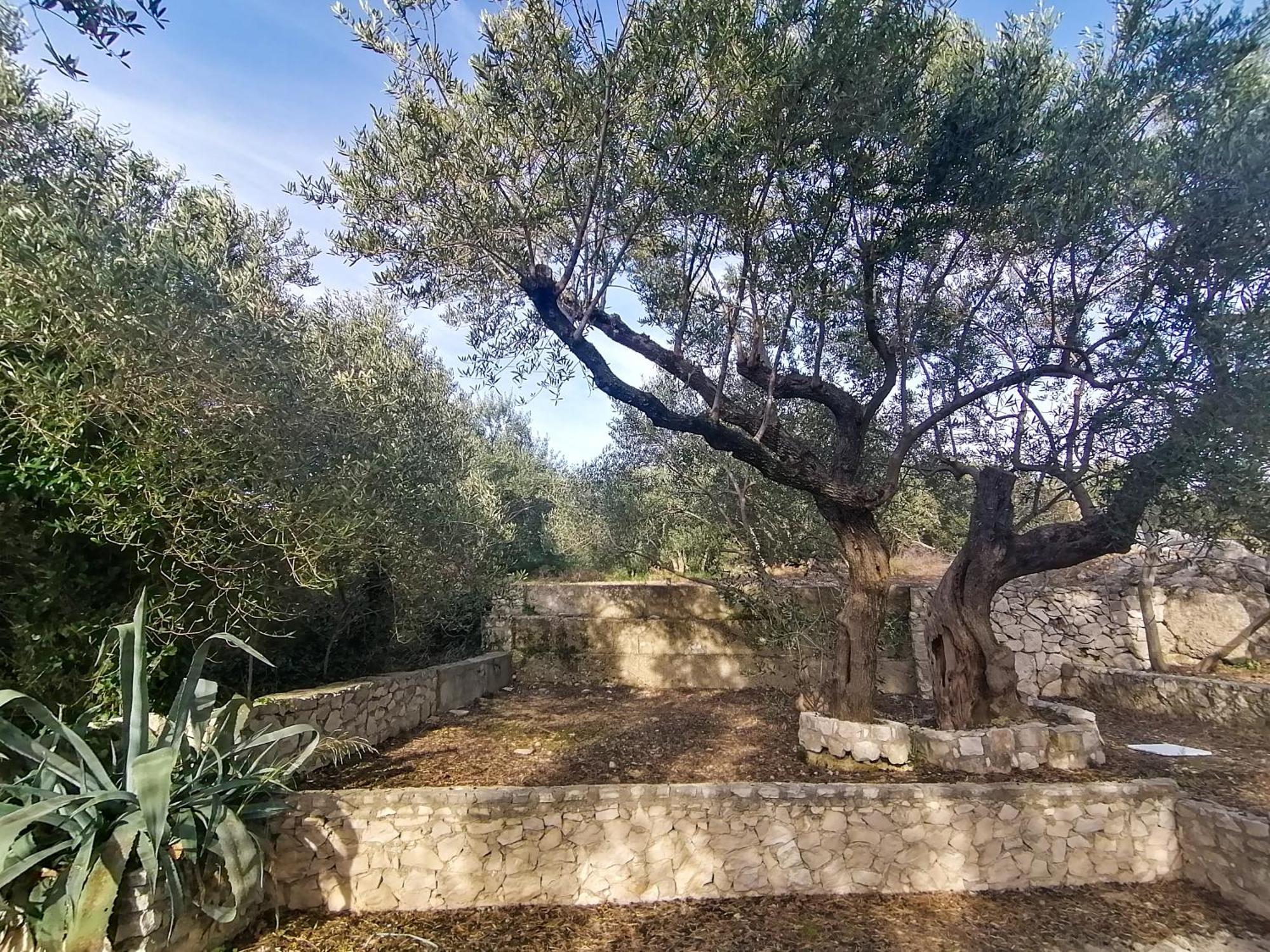 Vila Dolani Klek Buitenkant foto